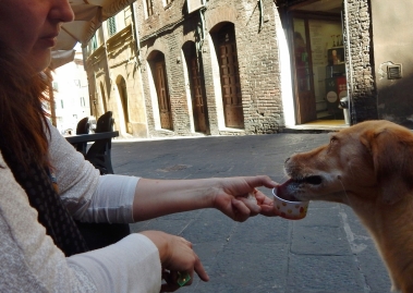In Siena sis could say: and I gave some gelato to bestia as well.