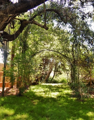 The natural arch of the villa garden.