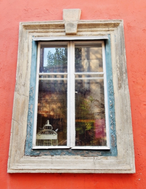 Two Ljubljana window beauties.