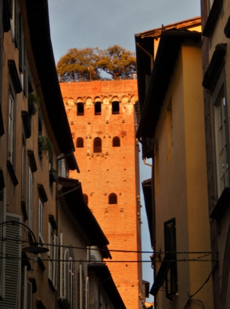 In Lucca there is much to behold. Guinigi Tower with oaks on top.
