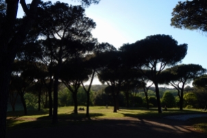 Park Villa Pamphili in Rome.